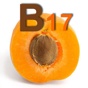 Vitamin B17 lek protiv raka